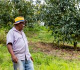Empleos para trabajador agrícola en granja