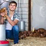 Se requiere 15 granjeros de aves de corral