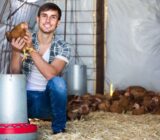 Se requiere 15 granjeros de aves de corral