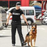 Se necesitan 20 guardias de seguridad armados