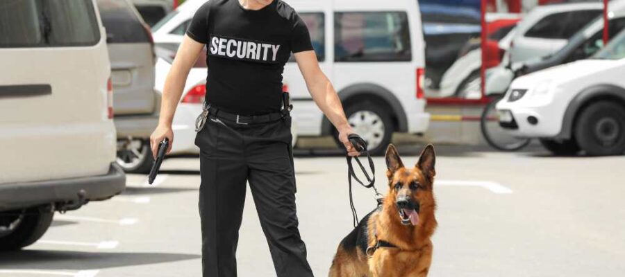 Ofertas de empleos para guardias de seguridad armados