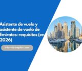 Asistente de vuelo y asistente de vuelo de Emirates: requisitos (en 2026)